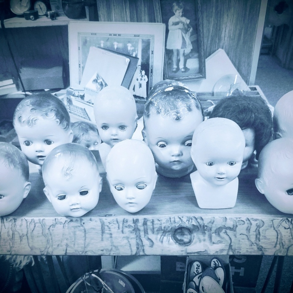 Meet your Posher, Tina